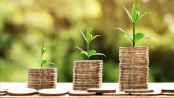 Coin verde: la criptomoneda que busca reforestar el Amazonas.