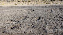 Los baches, un problema constante en las rutas&nbsp;