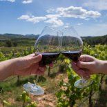 Este lugar compite con Mendoza por ver quién produce el mejor vino del país. Este lugar compite con Mendoza por ver quién produce el mejor vino del país.