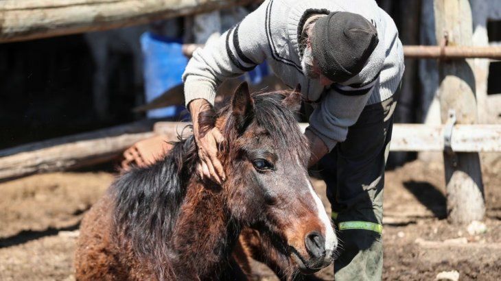 Ya son 6 los fallecidos por EEO en Buenos Aires.