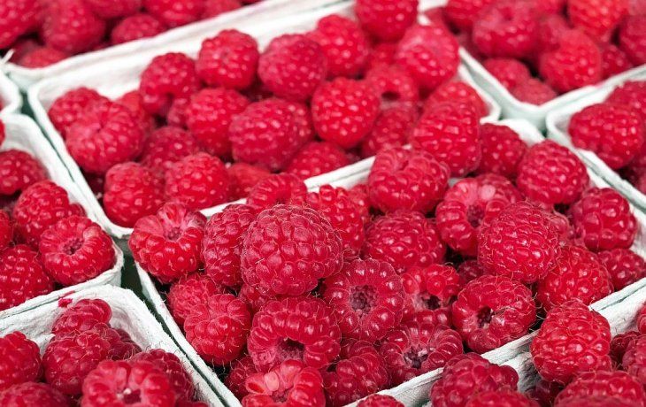 Las frambuesas son especialmente ricas en antioxidantes y vitamina A. Las frambuesas son especialmente ricas en antioxidantes y vitamina A.