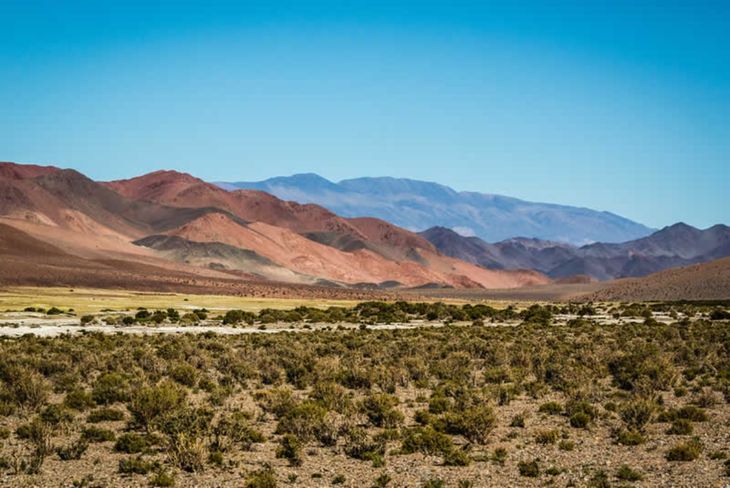 El listado de comercios adheridos puede ser consultado en el Portal del Gobierno de Catamarca. El listado de comercios adheridos puede ser consultado en el Portal del Gobierno de Catamarca.