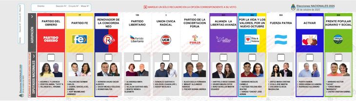En Misiones se votará con esta BUP. En Misiones se votará con esta BUP.