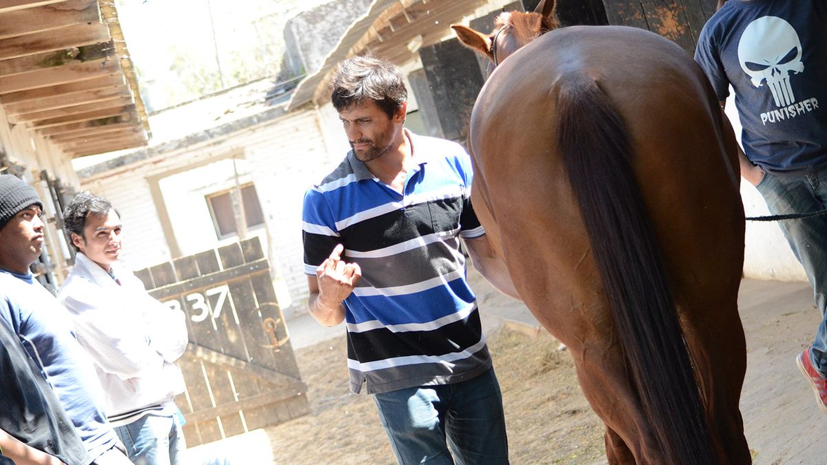 AFIP detected 100% of labor irregularities in the horse training field