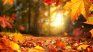 Otoño.
