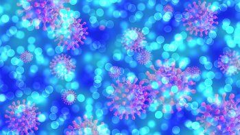 La pandemia, cuyo origen se ha relacionado al pasaje de un virus desde los animales a los seres humanos, se identificó inicialmente en el Mercado de Mariscos de Huanan de Wuhan en diciembre de 2019.