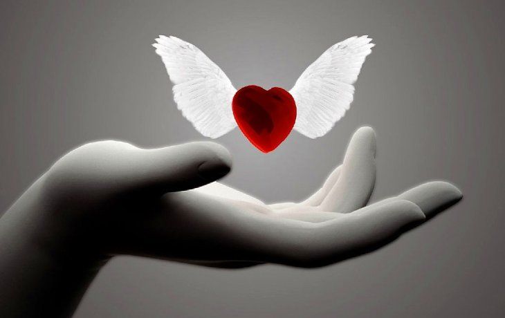 Cómo se transforma el amor en odio en la pareja