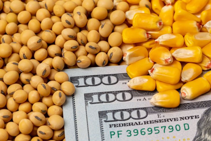 CORN y SOYB permiten seguir el precio internacional del maíz y la soja a través de una cartera de futuros con distintos vencimientos.