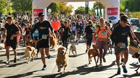 mendoza: celebraron el dia del animal con una maraton junto a sus mascotas