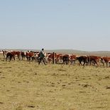 Frente a la sequía, el gobierno activa medidas para dar alivio al sector. Frente a la sequía, el gobierno activa medidas para dar alivio al sector.