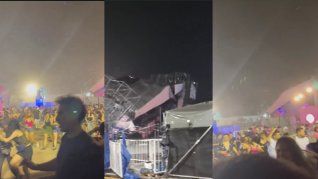En inmediaciones del Hipódromo de Palermo, varios árboles cayeron sobre la avenida Del Libertador