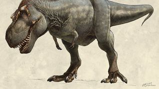 Los dinosaurios también sufrían dolor de muelas