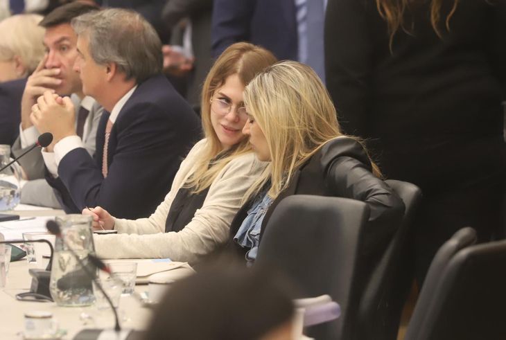 Lilia Lemoine en la Comisión de Presupuesto y Hacienda. Lilia Lemoine en la Comisión de Presupuesto y Hacienda.