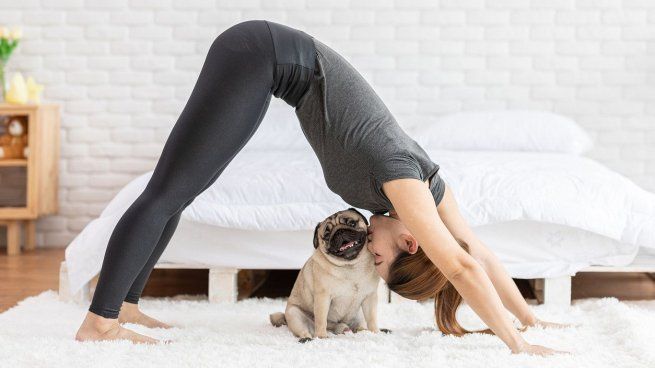 La nueva tendencia con animales, hacer yoga.