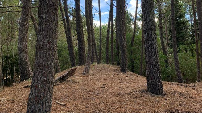 Un destino para disfrutar la naturaleza y desconectarse de la rutina.