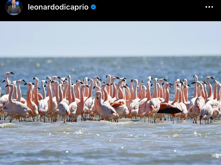 Di Caprio subió fotos del parque Ansenuza en su cuenta de Instagram.