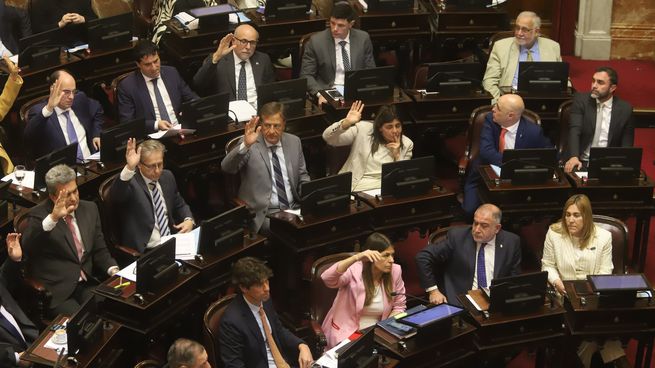 Senadores radicales impulsaron la revisión del DNU de fondos reservados para la SIDE.