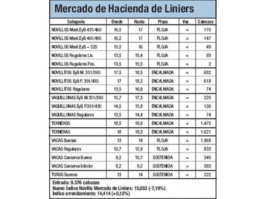 Mercado de Liniers: Novillo cayó un 7,19%