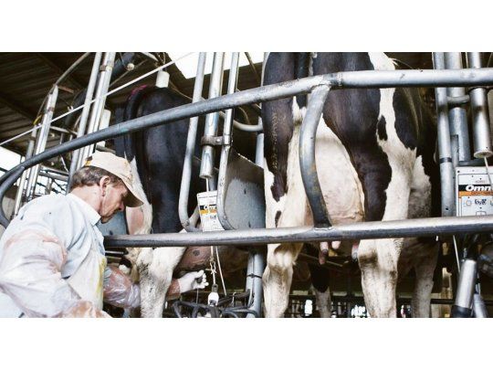 Para comprar un litro de leche, el tambero debe vender 3,62