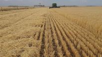 El arrendamiento de tierras para uso rural aumentó un 15% el año pasado en el Uruguay.