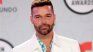 Ricky Martin consiguió amasar a una fortuna durante sus casi 40 años de carrera.