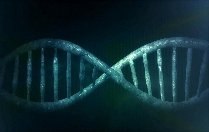 Potencialmente capaz de&nbsp;corregir el 89% de las variaciones genéticas vinculadas a enfermedades humanas, también es la primera en poder intervenir eficazmente sobre las neuronas, como demostró un estudio publicado en Nature por el Broad Institute de Harvard y el MIT en Estados Unidos.