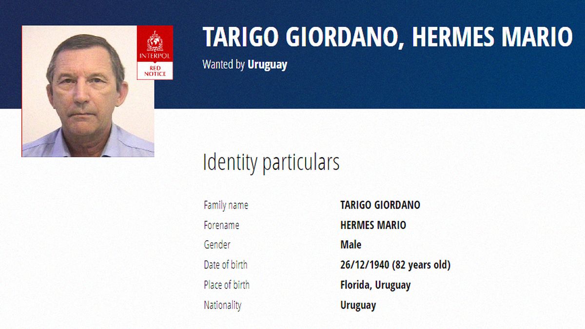The Justice interrogated a colonel of the dictatorship, handed over by Italy