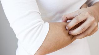 Rascarse la piel de forma frecuente puede estar vinculado a la ansiedad, estrés o hábitos inconscientes. Rascarse la piel de forma frecuente puede estar vinculado a la ansiedad, estrés o hábitos inconscientes.