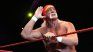 Hulk Hogan wants to be president of the United States Hulk Hogan wants to be president of the United States