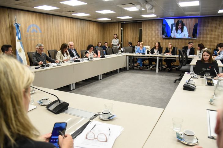 The Culture Committee of the House of Representatives debated the creation of the National Patronage Law. The Culture Committee of the House of Representatives debated the creation of the National Patronage Law.
