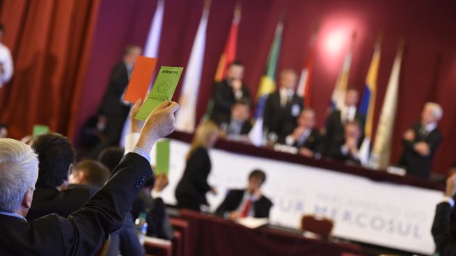 Diego Cuiñas dejará de ser el representante de Paraguay en el Parlasur.