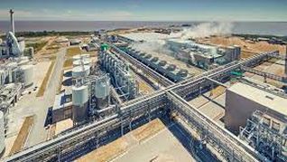 Montes del Plata pretende comprar 4 empresas del sector forestal uruguayo.