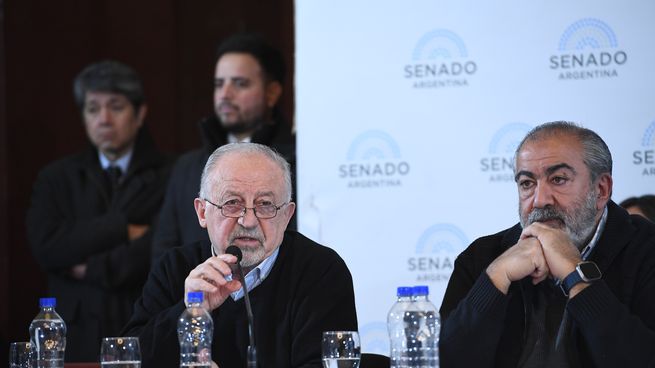 Yasky y Daer expusieron ante el plenario de comisiones del Senado por la ley Bases.&nbsp;