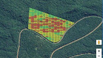 por internet, personas y empresas compran bosques argentinos para frenar el cambio climatico
