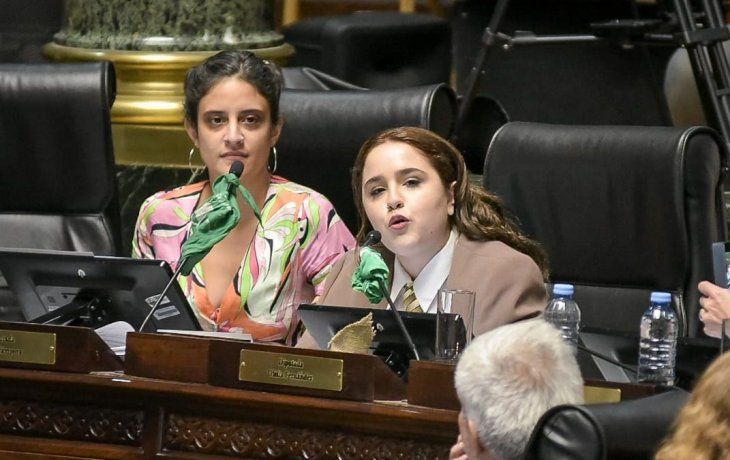 OfeliaFernández ocupa su banca desde el 10 de diciembre de 2019.