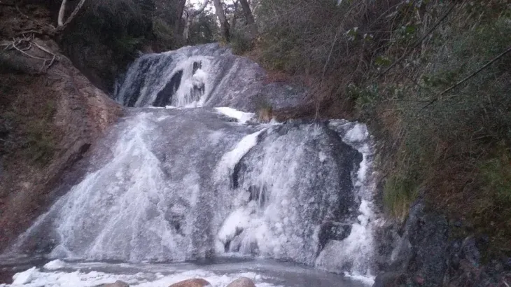 Este lugar es una de las grandes alternativas con las que cuenta la ciudad para que puedan disfrutar de un recorrido fácil en familia.