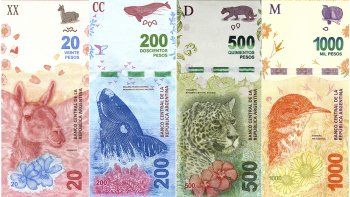 Los nuevos billetes entrarían en circulación en el mes de junio, cuando se terminan los que llevan animales que imprimió el gobierno anterior.