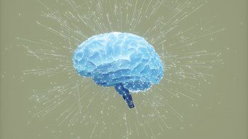 Cerebro.