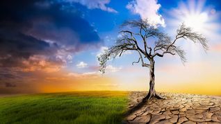 LA NASA adivierte sobre el cambio climático y como podría haber zonas peligrosas para la vida humana en 50 años.