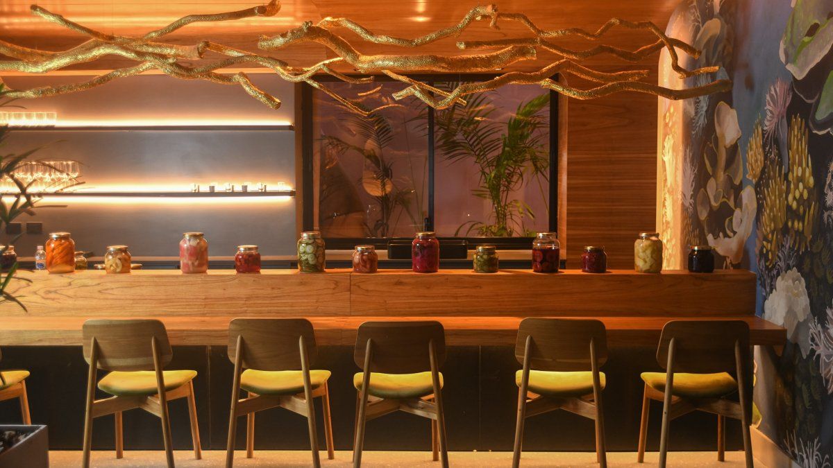 The restaurant where the kitchen becomes a landscape: a sensory experience guided by water, earth and fire