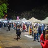 La Fiesta Provincial de la Flor de la Vid se realiza en San Rafael, Mendoza. La Fiesta Provincial de la Flor de la Vid se realiza en San Rafael, Mendoza.