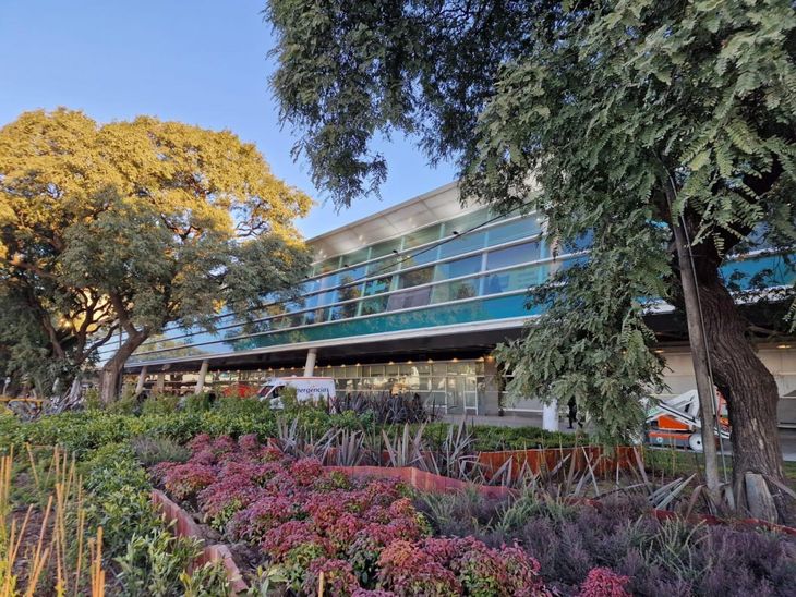 Así se ven los nuevos espacios verdes en las plazas internas del Aeroparque Jorge Newbery. Así se ven los nuevos espacios verdes en las plazas internas del Aeroparque Jorge Newbery.