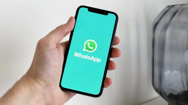 La solución para liberar espacio desde WhatsApp en IOS.
