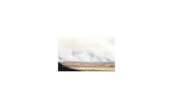 ámbito.com | Los bomberos siguieron ayer combatiendo focos de fuego en el delta de Zárate. Ahora lascortinas de humo dependen de posibles lluvias que terminen de extinguir las llamas.