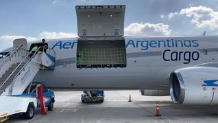 Aerolíneas Argentinas Cargo también lanzó su servicio propio de courier desde Miami. 