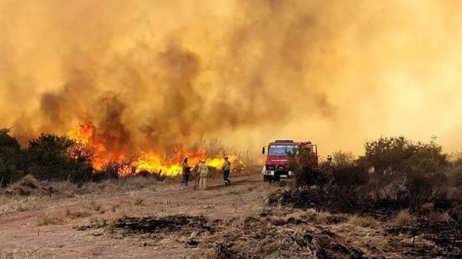 En 2023 ya se quemaron casi 100 mil hectáreas en los incendios forestales.