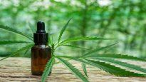 Cannabis medicinal.