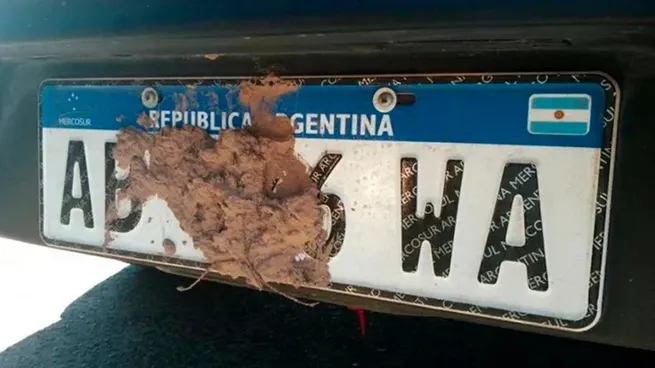Qué hay que hacer si contamos con desperfectos en este elemento del vehículo.
