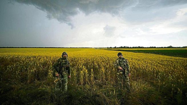 la sesión se torna ligeramente negativa con excepción del trigo que aún se conserva alcista.