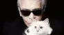 The cat lives a luxury life, just as his beloved owner wanted.